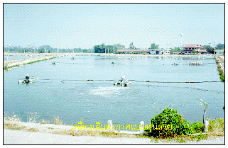 Aeration Lagoon