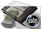 palm_software_download.gif (9171 bytes)